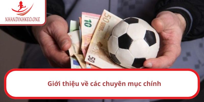 Giới Thiệu Nhandinhkeo - Website Hàng Đầu Về Bóng Đá 3 Những nội dung mà website cập nhật