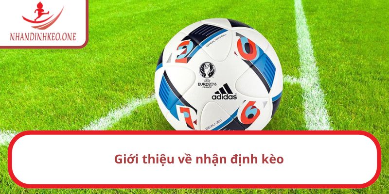 Trang chủ 22 Vài điều cơ bản về nhận định kèo