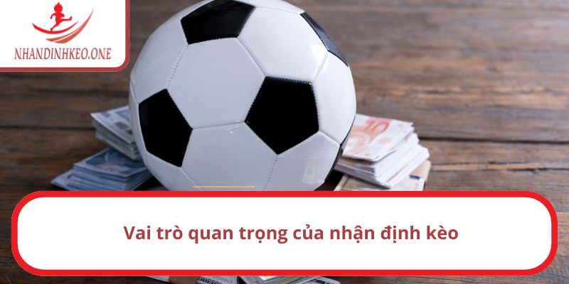 Trang chủ 23 Phân tích ý nghĩa của việc nhận định bóng đá