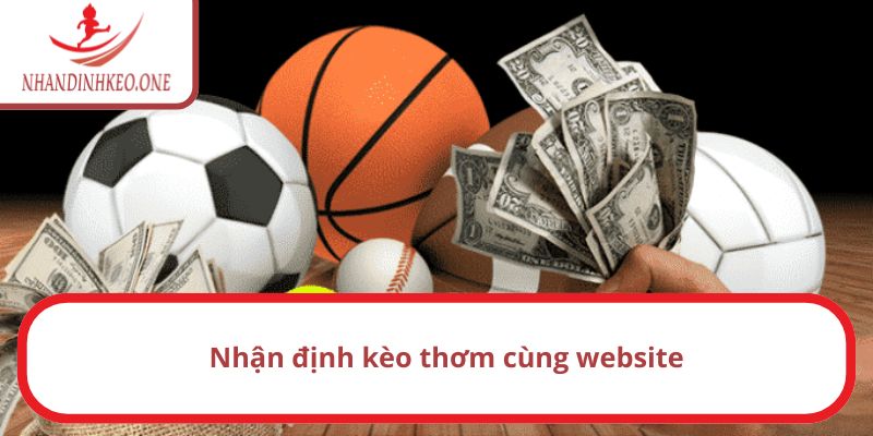Trang chủ 28 Website nhận định về một loạt kèo thơm